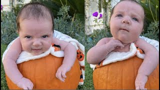 putting our baby in a pumpkin!