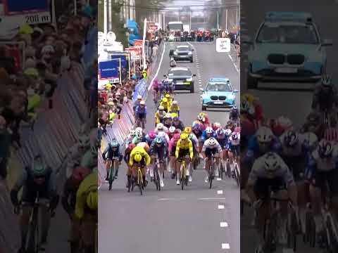 🇬🇧 Quelle dé-mon-stra-tion de la Visma Lease a Bike #eurosport #cyclisme
