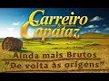 Carreiro e Capataz - Pot-Pourri Pagodes de viola Mp3