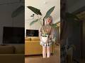 Мои любимые алоказии 🪴 #обзор #alocasia #plants #алоказия