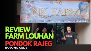 Download Lagu ADA FARM LOUHAN BARU DI PONDOK RAJEG MP3