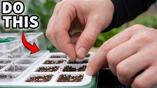The Trick to Starting Seeds for a Fall Garden [It's DIFFERENT!]