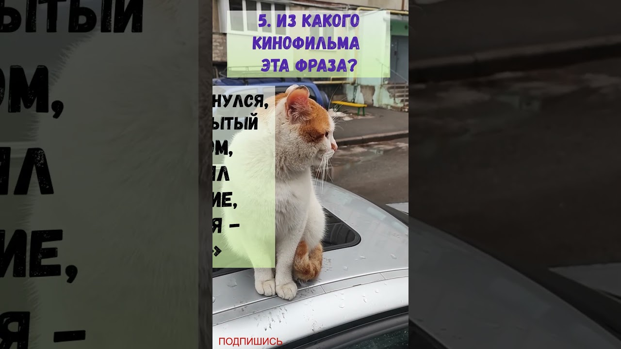 Отгадай фильм по цитате