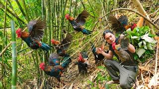 Skills in setting traps for wild chickens, gathering bamboo shoots and caring for pigs - Survival