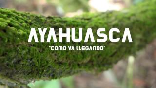Ayahuasca-Icaros Como Va Llegando