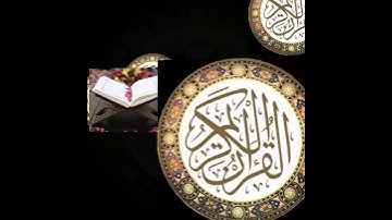 [القارئ محمد شعبان أبو قرن ] سورة القارعة بروايتي رويس وروح عن يعقوب.