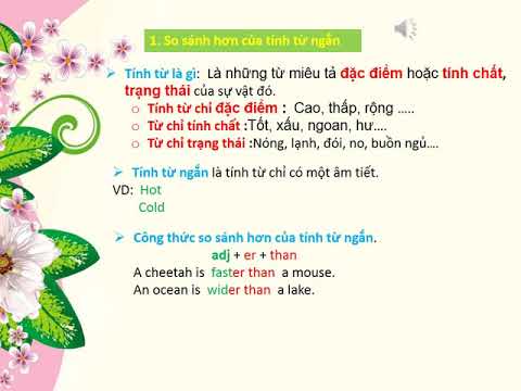 Tuần 24 - Tiếng Anh Lớp 4