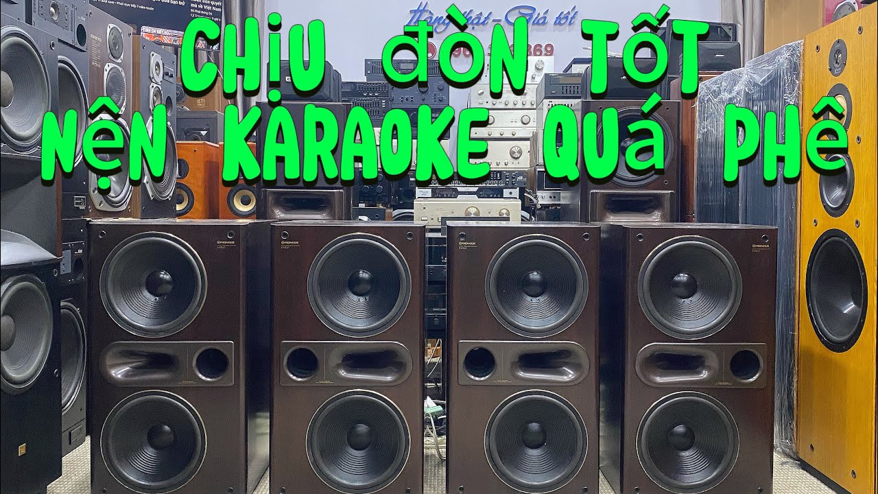 PIONEER S HE 10 - S HE 100 - CHỊU ĐÒN TỐT KARAOKE PHÊ LÒI - YouTube
