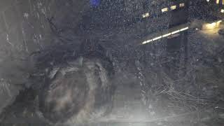 BIDMC Hawk Nest 2026