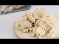 Как заморозить грибы на зиму!  Хранение грибов