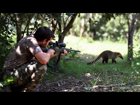 The Jungle David Madrid Hunting and Fishing P2