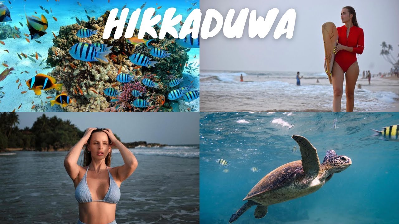 Hikkaduwa || හික්කඩුව - Snorkeling, Watching and Feeding for Turtles 🤿🐢🏄