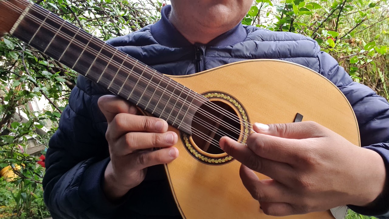 Curso Intensivo Mandolina Sesión 2/50 Prof Fernando Ortiz Pichardo. Aprende A Tocar 100% Garantizado