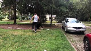 Stripped swing flag dance