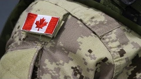 Canadian soldier could lose job for alleged neo-Nazi links