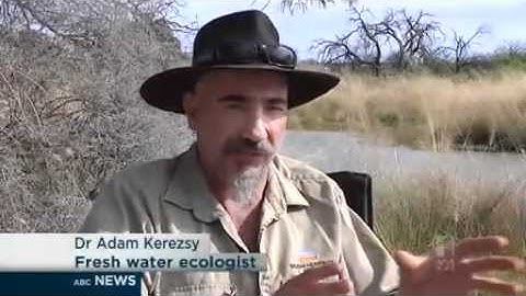 Scientists work to save endangered fish