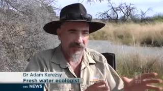 Scientists work to save endangered fish