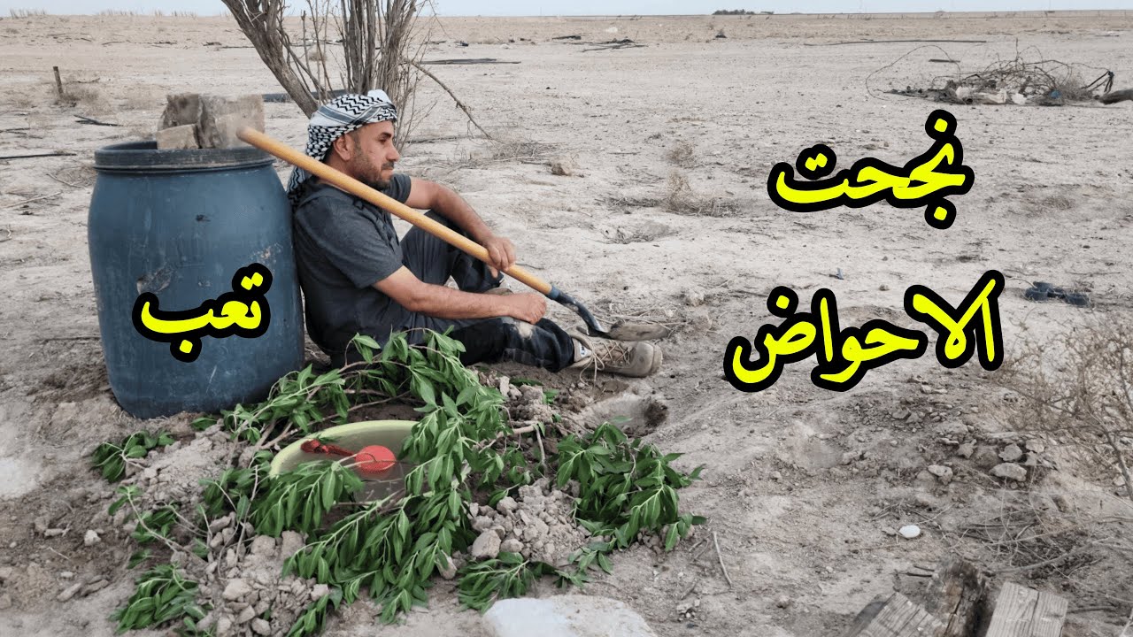 زرعتُ الثواب في الصحراء... بثواب من رحلوا بلا وداع 💔#هايبر_مول_واسط