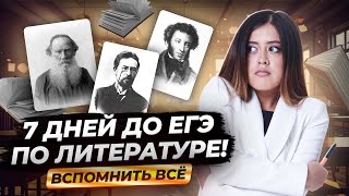 НЕДЕЛЯ ДО ЕГЭ по литературе! Минимум, который нужно знать