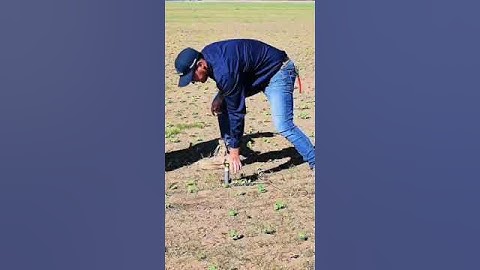 Schedule-it | Irrigation Scheduling Experts | Winter Crop Installations