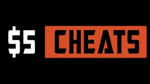 CSGO 5DollarCheats Review