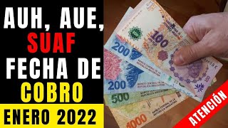 ???[2022] FECHA De COBRO AUH, AUE, SUAF, ENERO 2022 (NOTICIAS DE ANSES)