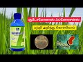 சூடோமோனாஸ் | விவசாயத்தின் நண்பன் | எப்படி பயன்படுத்தலாம் | அளவு | விலை | நன்மைகள்