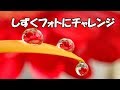 しずくフォトにチャレンジ　水滴撮影