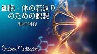 【誘導瞑想】細胞・体の若返りのための瞑想✨｜細胞修復・再生