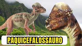 Paquicefalossauro Curiosidades Surpreendentes