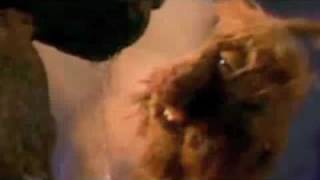 Miniatura de vídeo de "Just A Dream Away~Fraggles (With Lyrics)"