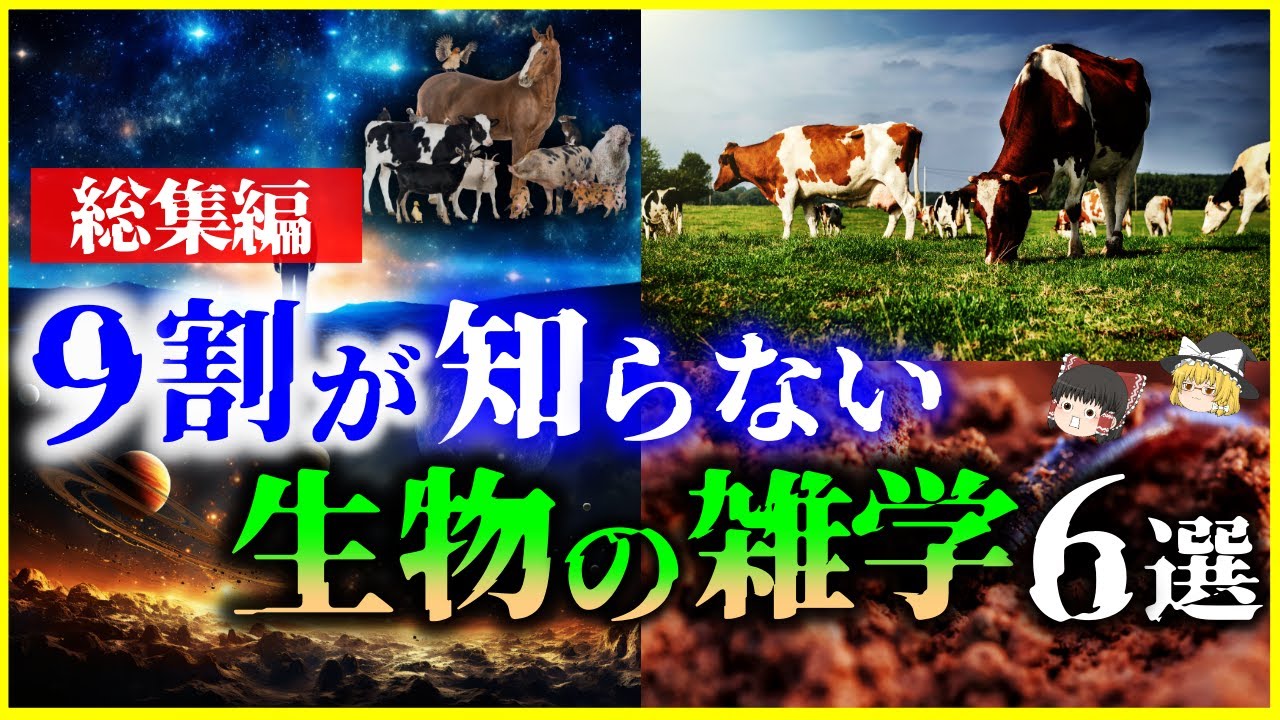 【ゆっくり解説】【総集編】9割の人が知らない「生物の雑学」6選を解説/自己家畜化、草食動物、土、赤潮、他 【作業用】【睡眠用】