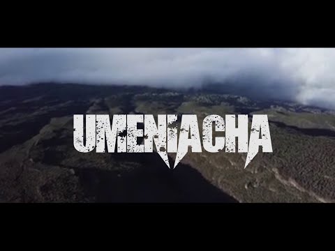 Sonee K Umeniacha Official Video