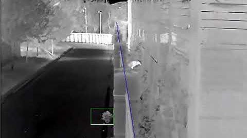 False Alarm Filter by Hikvision DeepLearning Thermal System