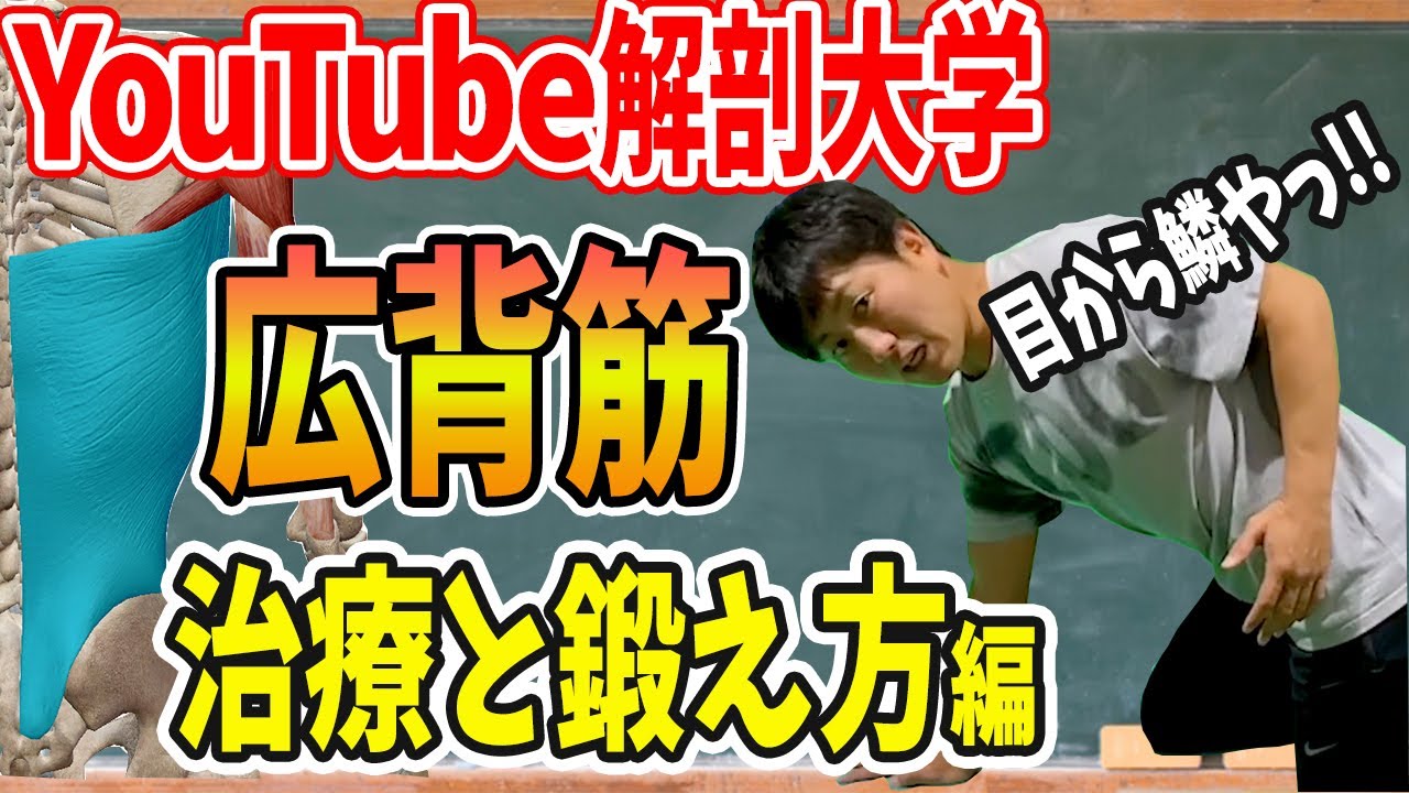 【解剖学】YouTube解剖大学！どこよりも楽しく実践的に学べる解剖学〜広背筋パート２