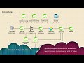 Project overview and Introduction to Event-Driven Architecture