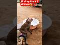 Monkey Attack A Women ЁЯШдЁЯШ Monkey Funny Animals Ihavethisthingwithplants Zoo Cute Wildlife Monkey Attack A Women ЁЯШдЁЯШ Monkey Funny Animals Ihavethisthingwithplants Zoo Cute Wildlife