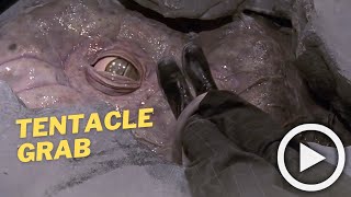 Buffy Gets Grabbed By Tentacles Ankle & Boot Scene Sarah Michelle Gellar S2E12