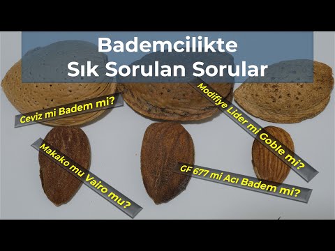 Video: Emlakçı olmadan bir daire nasıl satın alınır: adım adım talimatlar, nüanslar ve özellikler