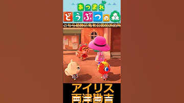 ちっくしょ 料理 なんてこりごりだぁ Part5 By 両津勘吉 アイリス あつまれどうぶつの森 こちら葛飾区亀有公園前派出所 