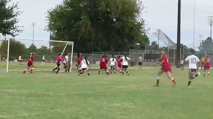 Brianne Phillips, Crowded Net Management