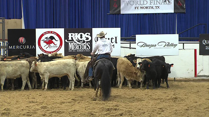 2014 World Finals:  Tracy Barton & NRR Cat King Cole