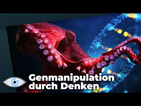 Video: Octopus-Außerirdische Rollten Die Japaner Auf Einer Fliegenden Untertasse - Alternative Ansicht