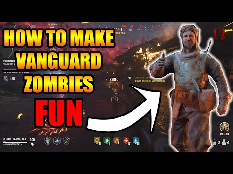 How to Make Vanguard Zombies FUN