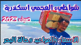 شواطيء العجمي ترفع الرايات الحمراء|البيطاش وشهر العسل|اسكندرية