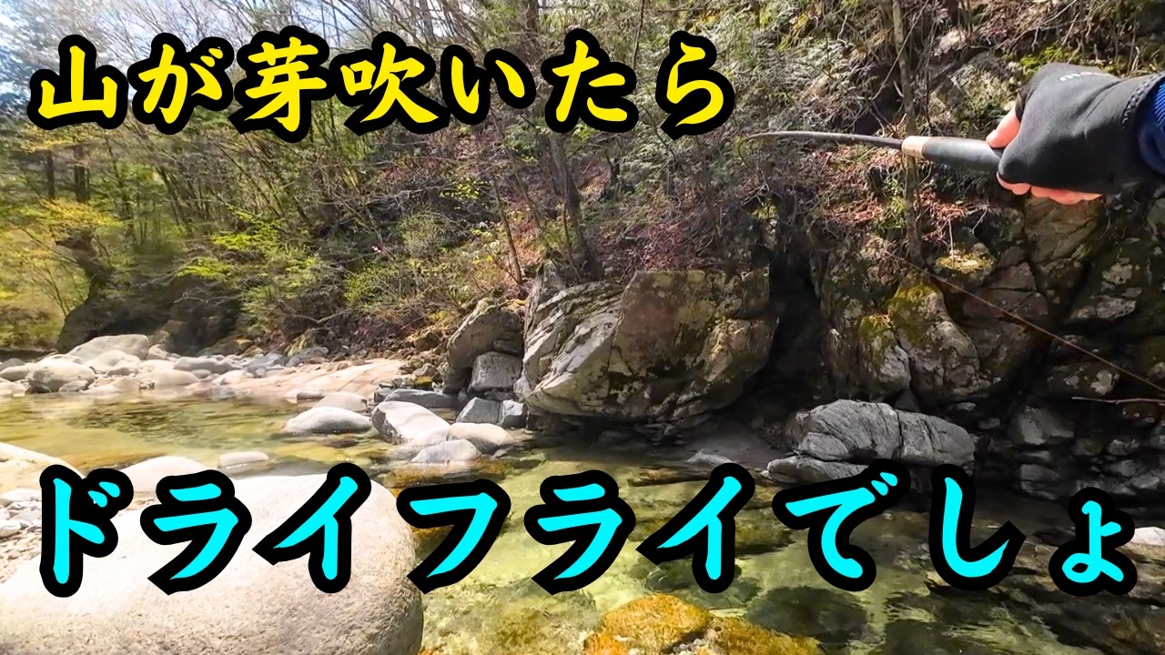 テンカラ釣り】最高の季節がやってきた！ - YouTube