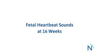 Neeva Baby - Fetal Heartbeat Sounds