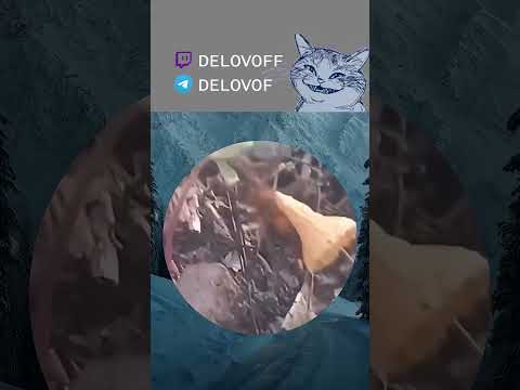 #mem ТГК delovof