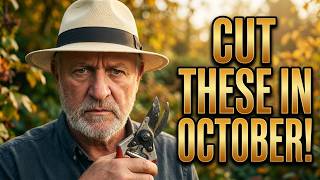STOP Don't forget to cut these plants in October
