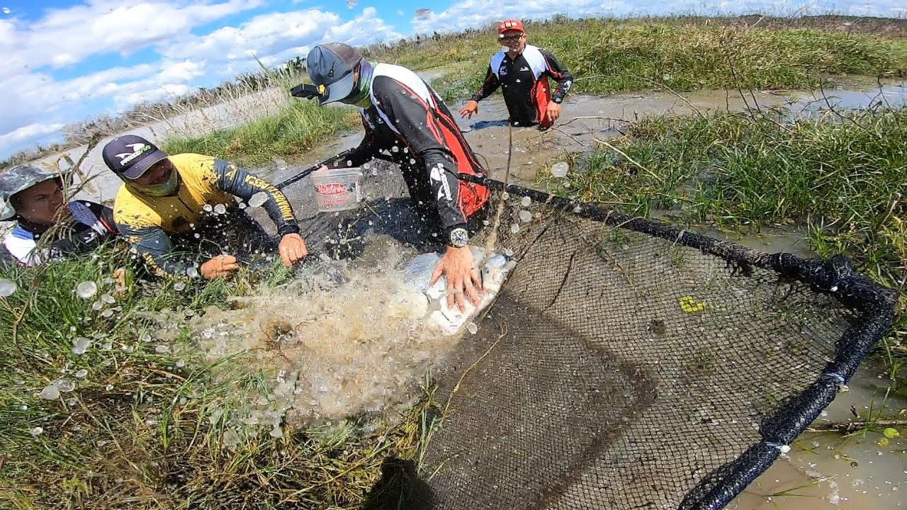 PENSAMOS QUE TINHA PEGADO DE TUDO NO PENEIRÃO ATÉ ACONTECER ISSO!